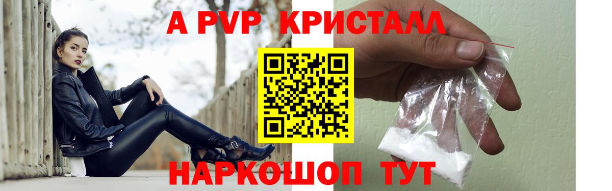 Альфа ПВП СК Грозный