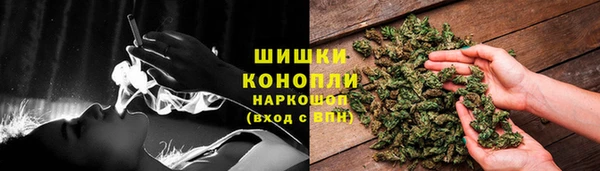 apvp Осинники