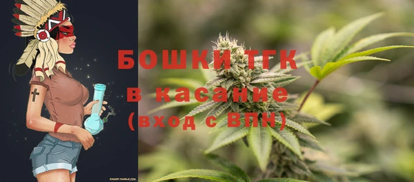apvp Осинники