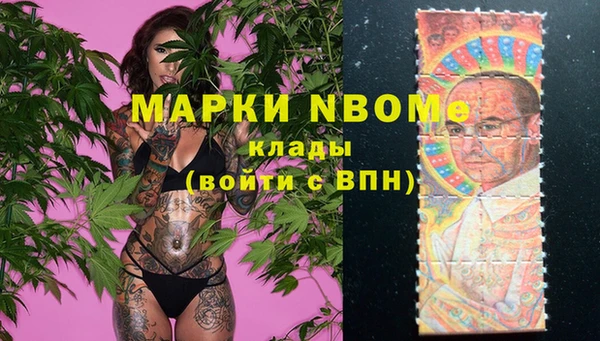 apvp Осинники