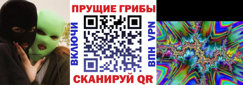 Псилоцибиновые грибы мицелий  купить наркотик  Грозный 