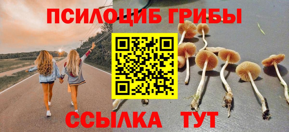 Псилоцибиновые грибы MAGIC MUSHROOMS Грозный
