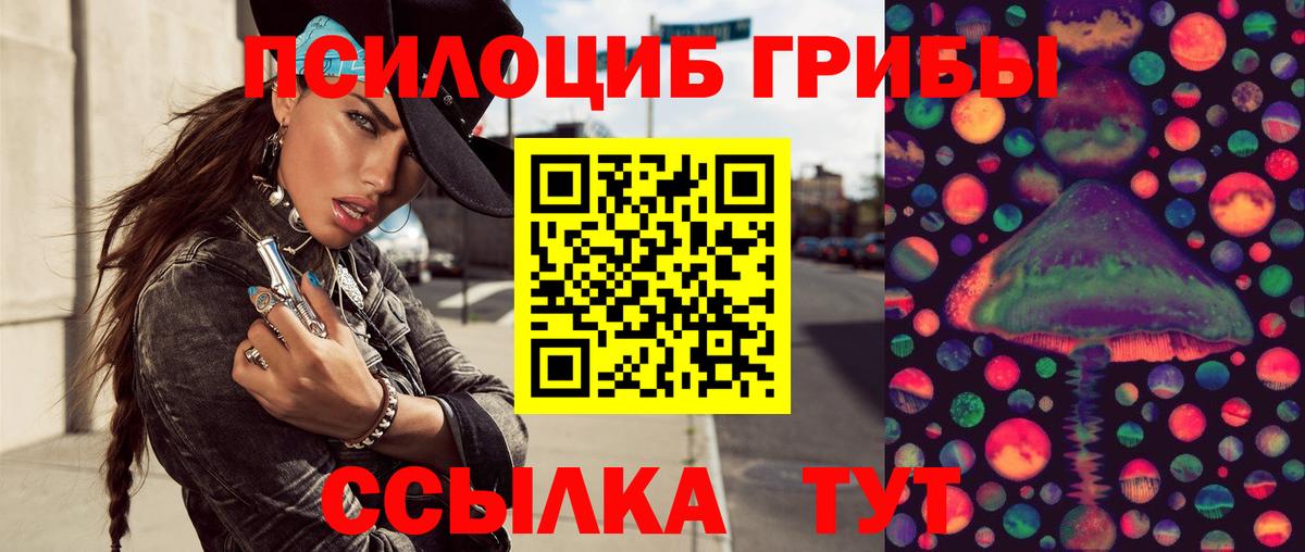 Псилоцибиновые грибы Magic Shrooms  Галлюциногенные грибы GOLDEN TEACHER  Грозный 