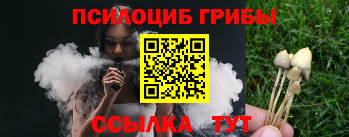 Галлюциногенные грибы ЛСД  Галлюциногенные грибы Psilocybine cubensis  Вход с VPN  Грозный 